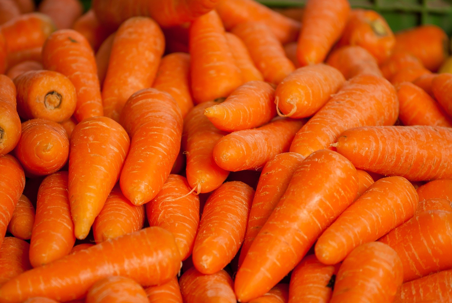 В Кировскую область завезли 40 тонн моркови из другой страны