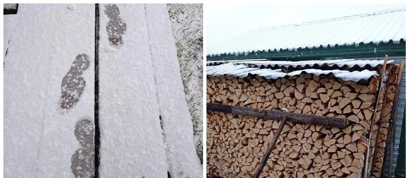В Кировской области 20 мая выпал снег