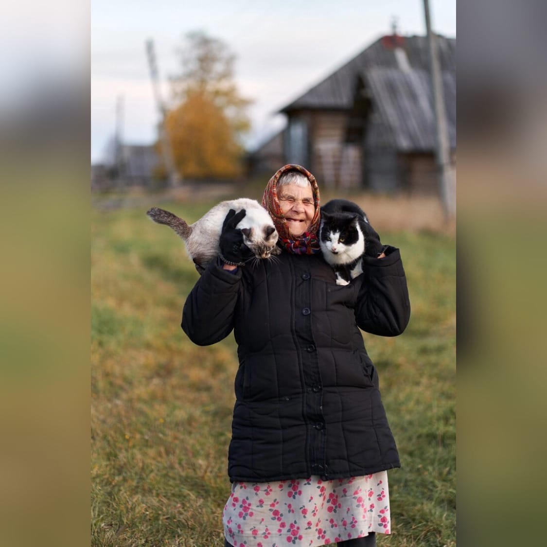 Фотография кировской бабушки с Кузей и Муркой вышла в финал всероссийского конкурса