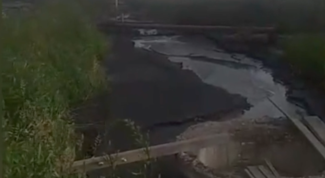 В Кировской области реку отравляют токсичными стоками