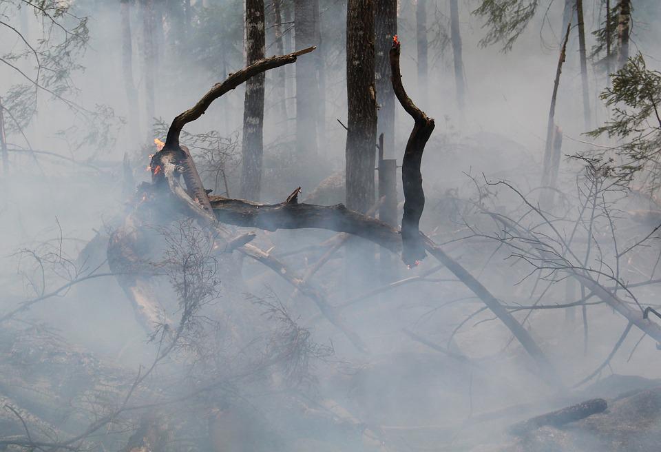 МЧС предупреждает жителей Кировской области о высокой пожарной опасности