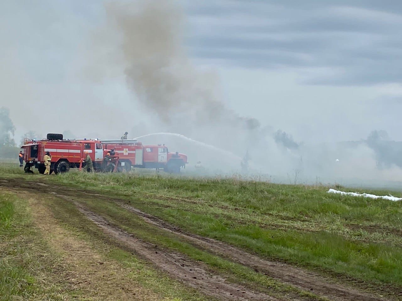 В двух районах Кировской области горит лес