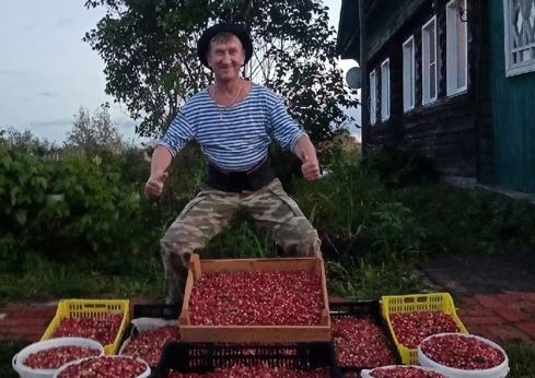 "40 ведер за 5 дней": житель Кировской области установил рекорд по сбору клюквы
