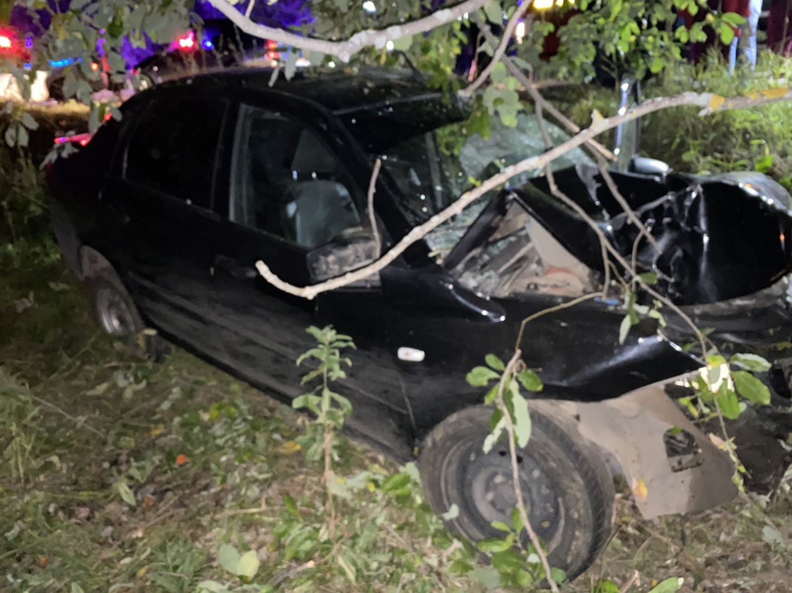 В Кировской области водитель не выжил после наезда машины на дерево