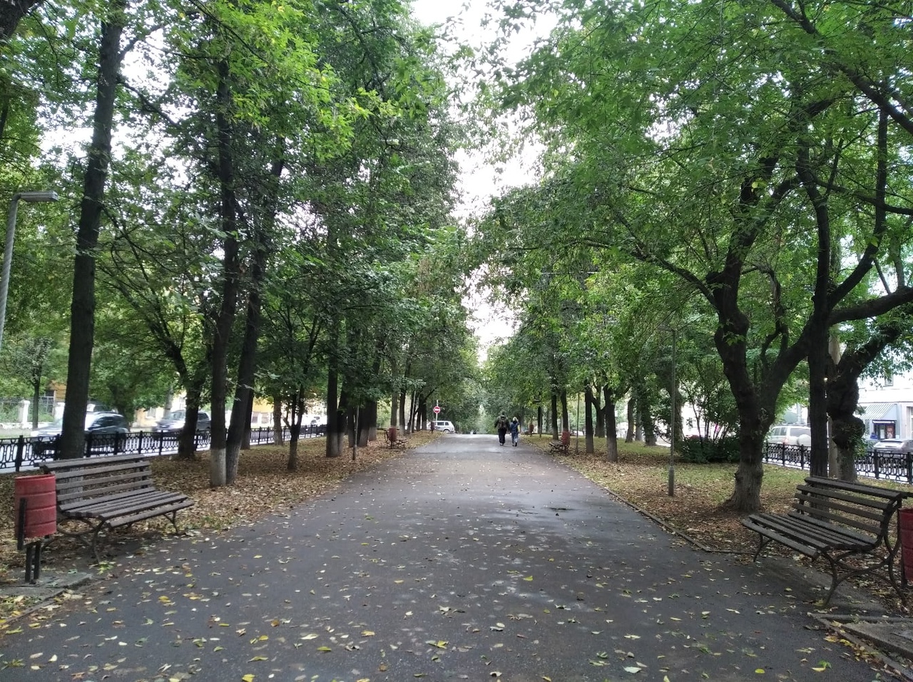 В Кировской области 19 сентября прогнозируется шквалистый ветер и град