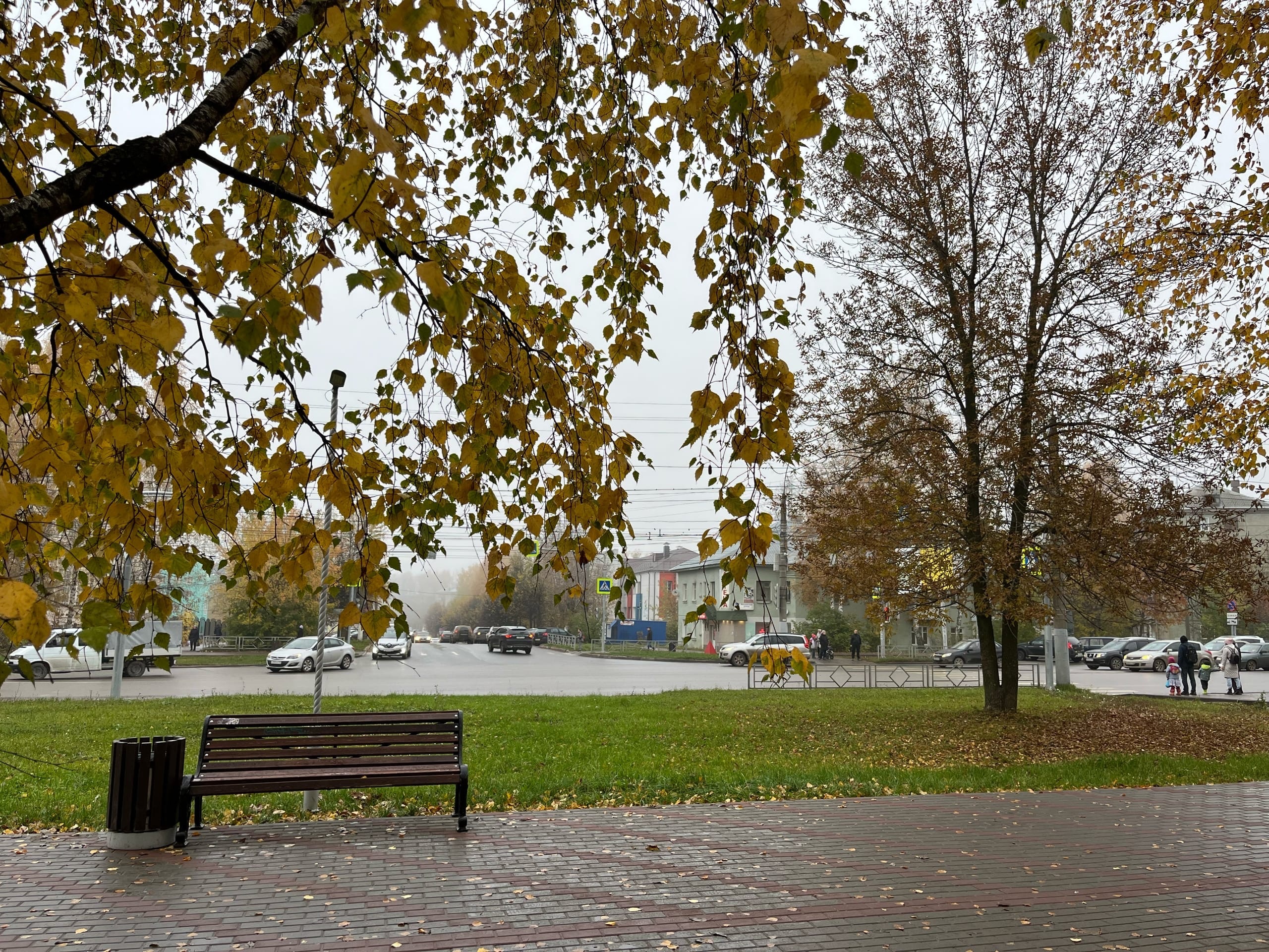 Минусовая температура и дождь: какая погода ждет кировчан 21 октября 