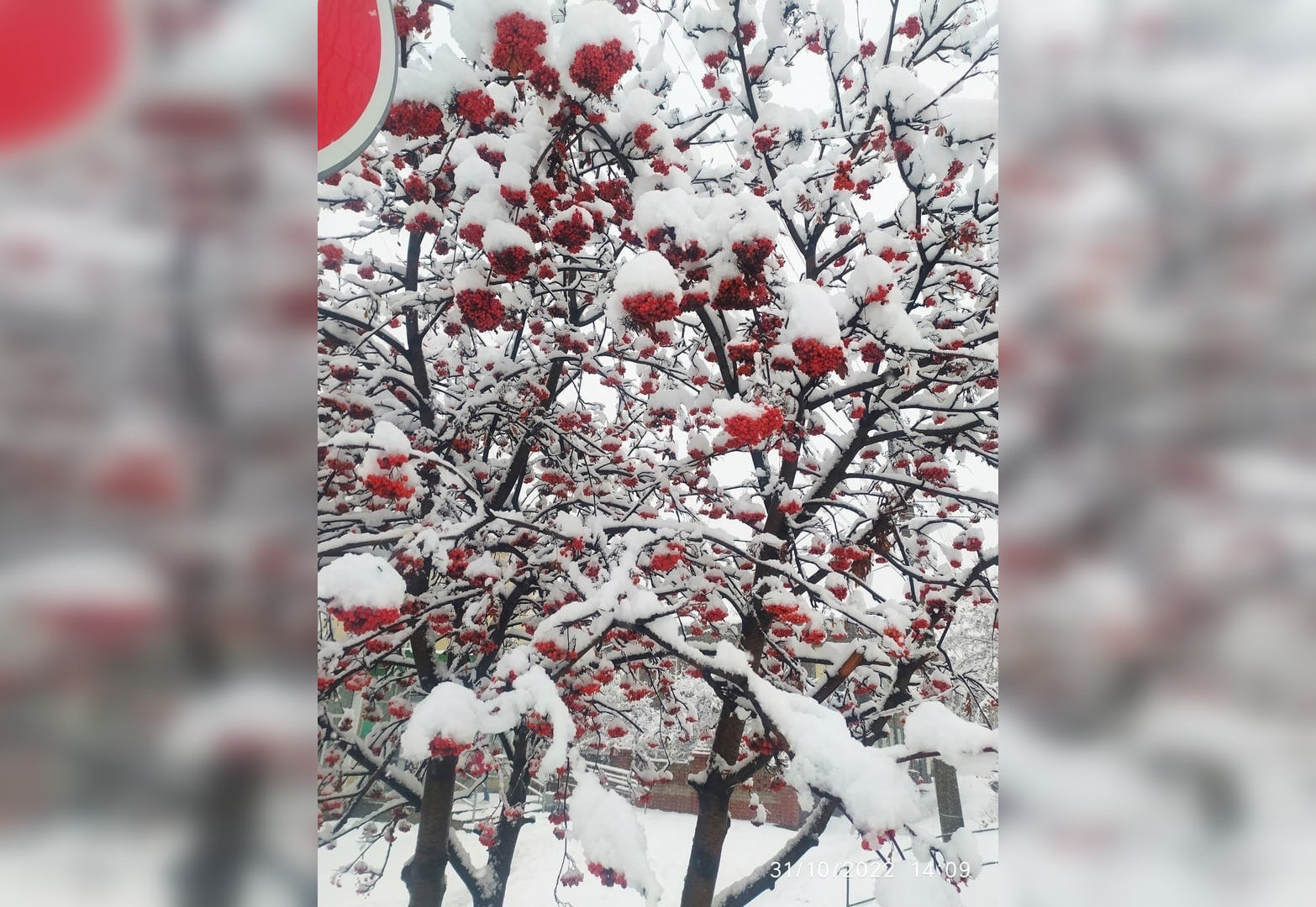 Уже слепили снеговика: в Кировской области нападало 20 сантиметров снега