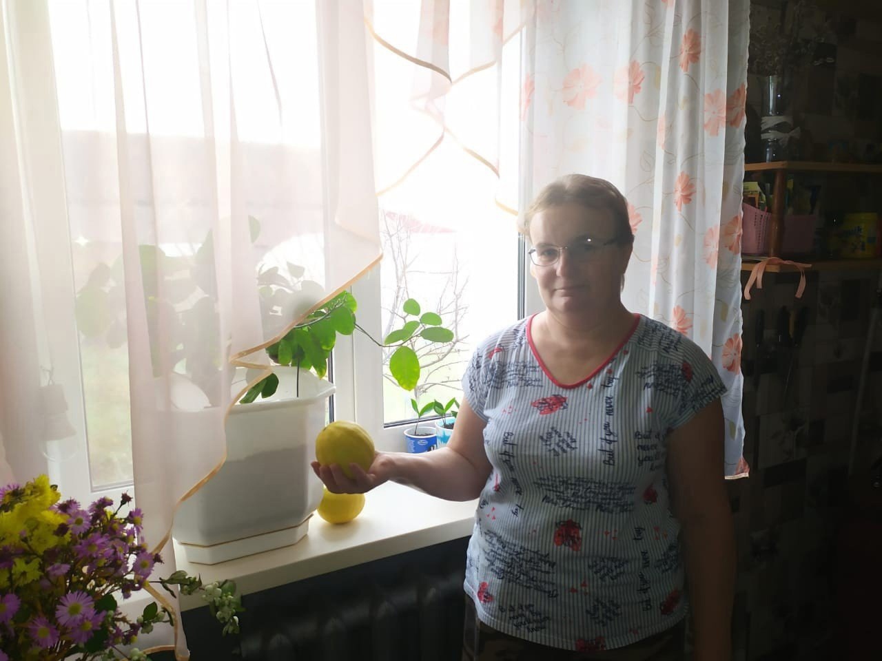 Жительница Кировской области вырастила полукилограммовый лимон