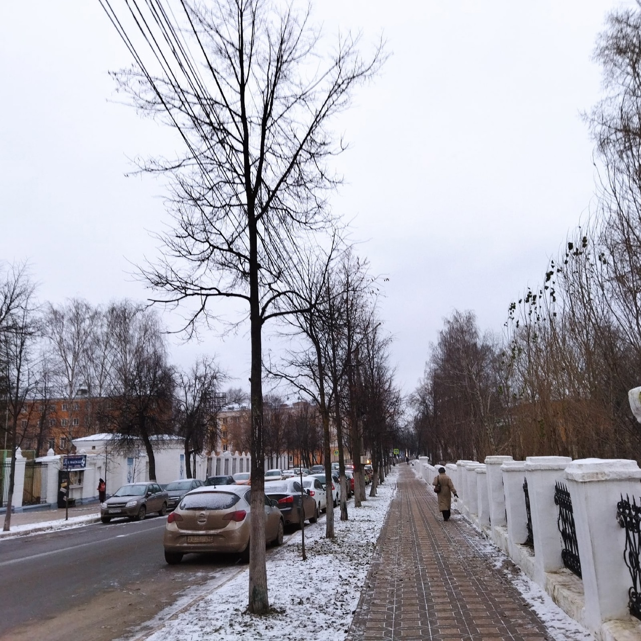 Кировчан предупреждают о порывистом ветре: прогноз погоды на 8 декабря