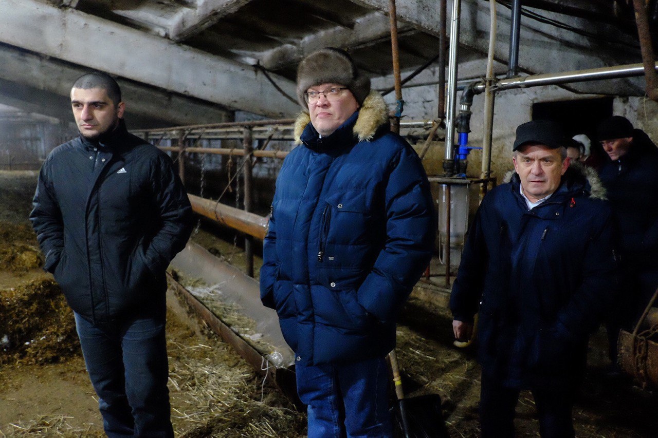 "Жуткая картина, слезы наворачиваются": Соколов съездил в Малмыж к погибающими животным