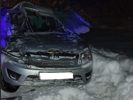 В Орловском районе произошло смертельное ДТП: погибли два человека