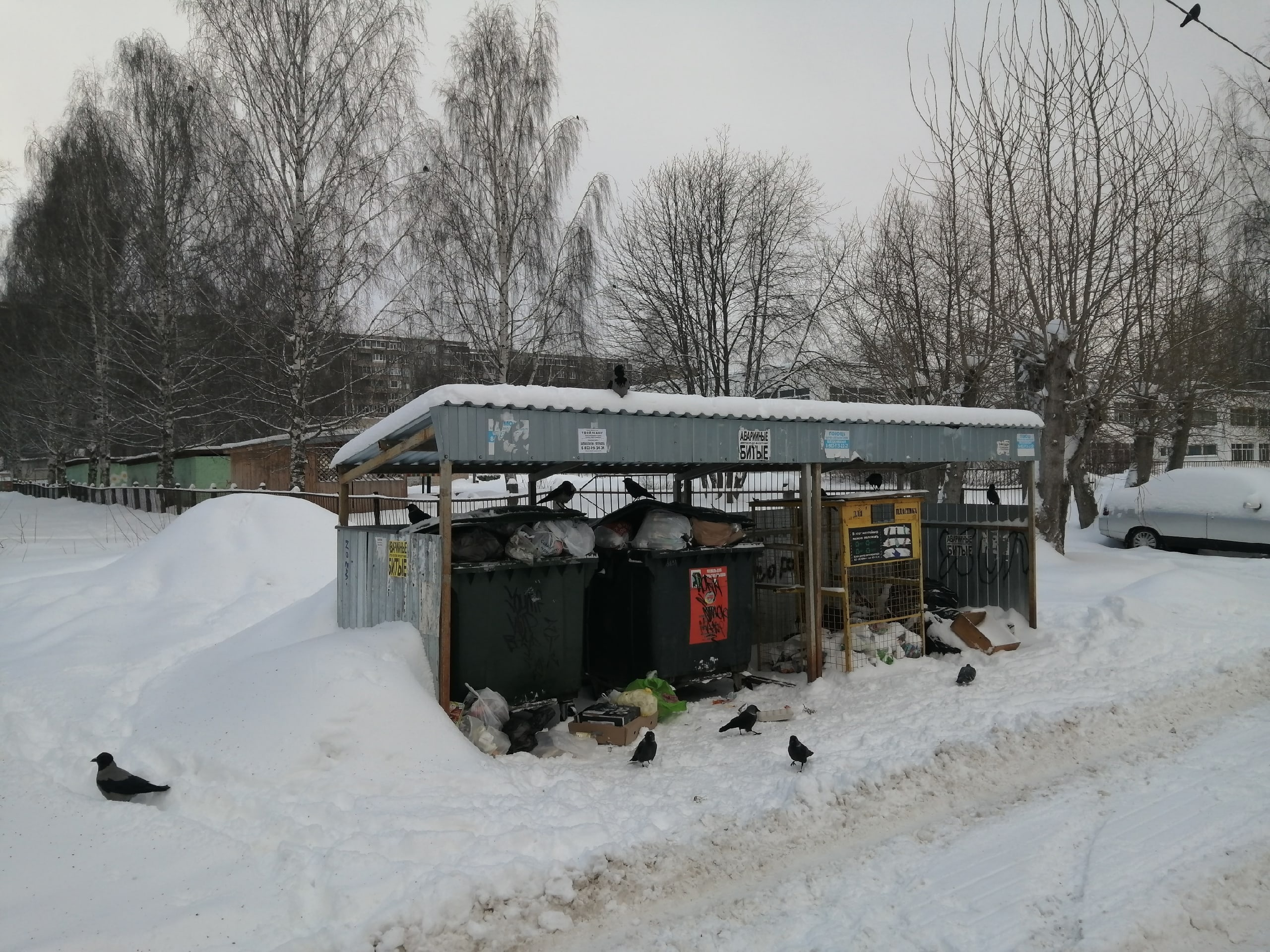 Из-за снегопада в Кирове затруднен вывоз мусора