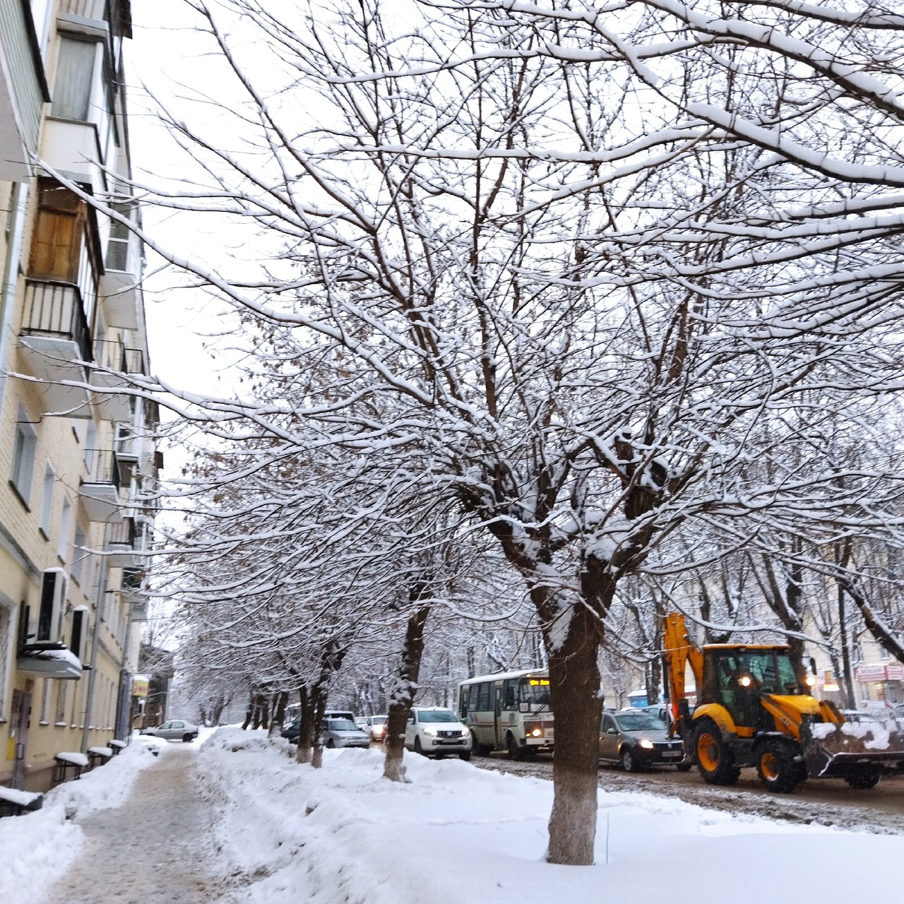 Пасмурно и небольшой снег: погода в Кирове на 29 января