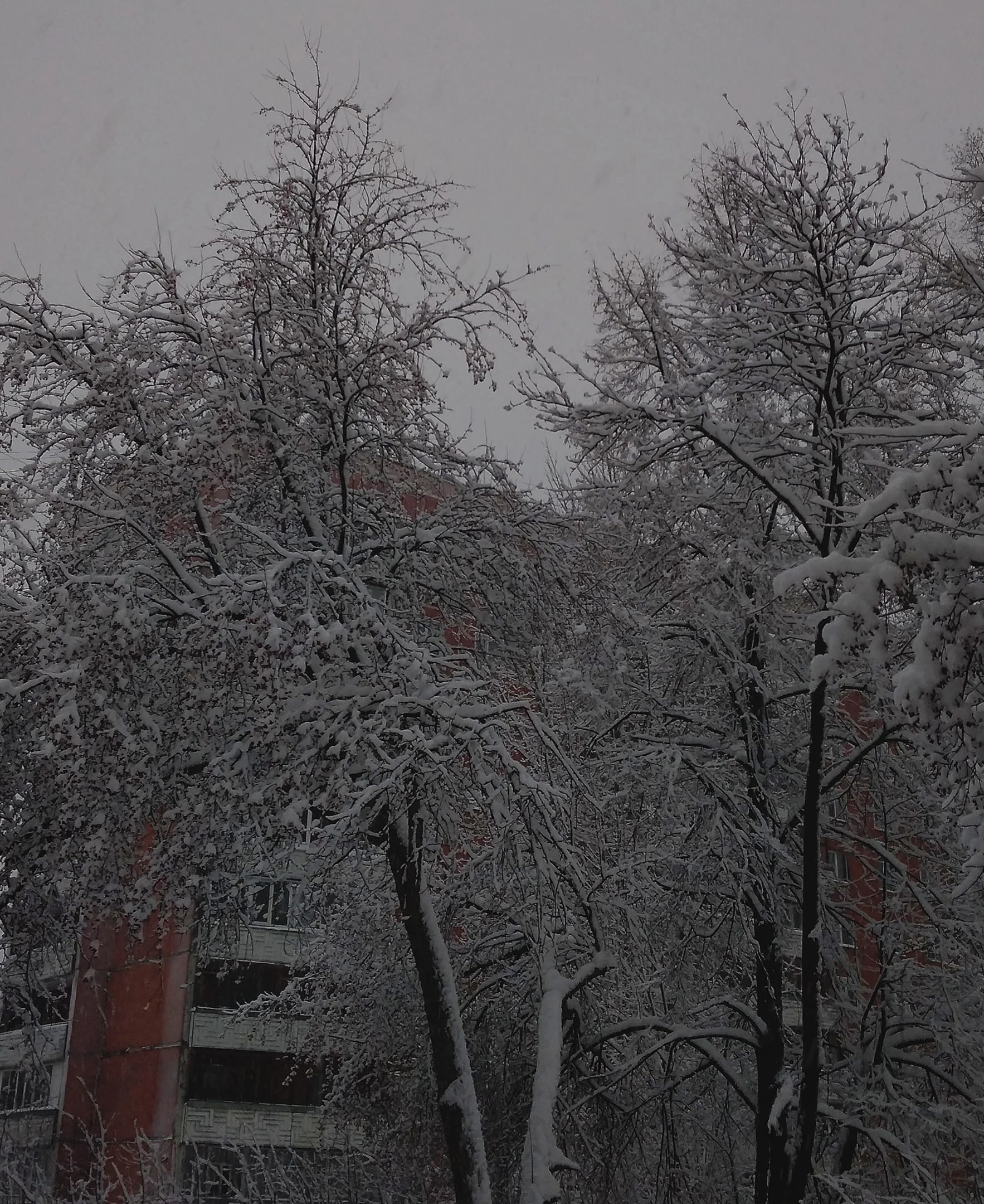На следующей неделе в Кирове ожидается сильное похолодание