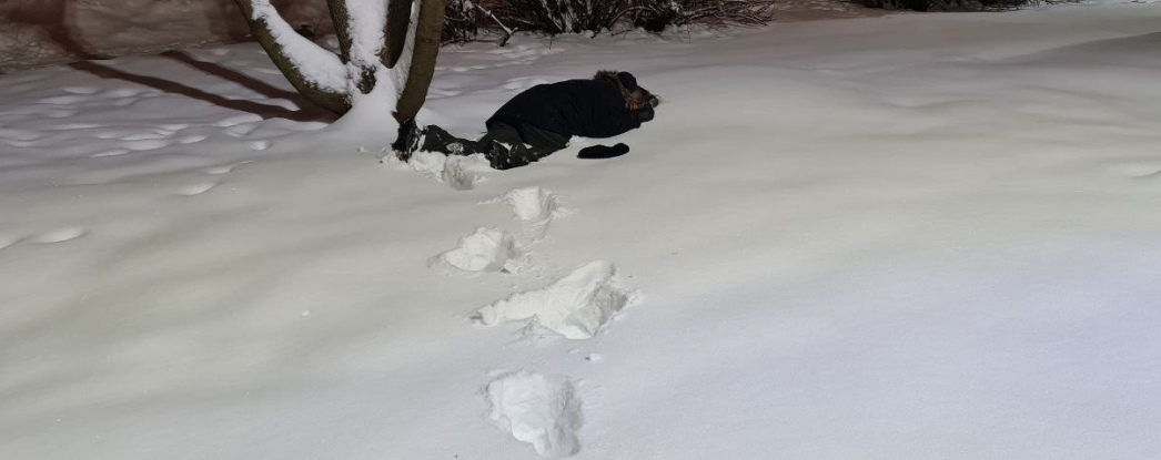 Ночью в Кировской области на берегу реки нашли замерзающую девочку-подростка