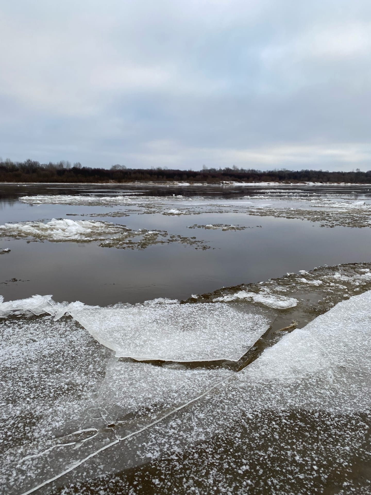 В Калужской области провалились под лед пятеро детей: есть погибшие