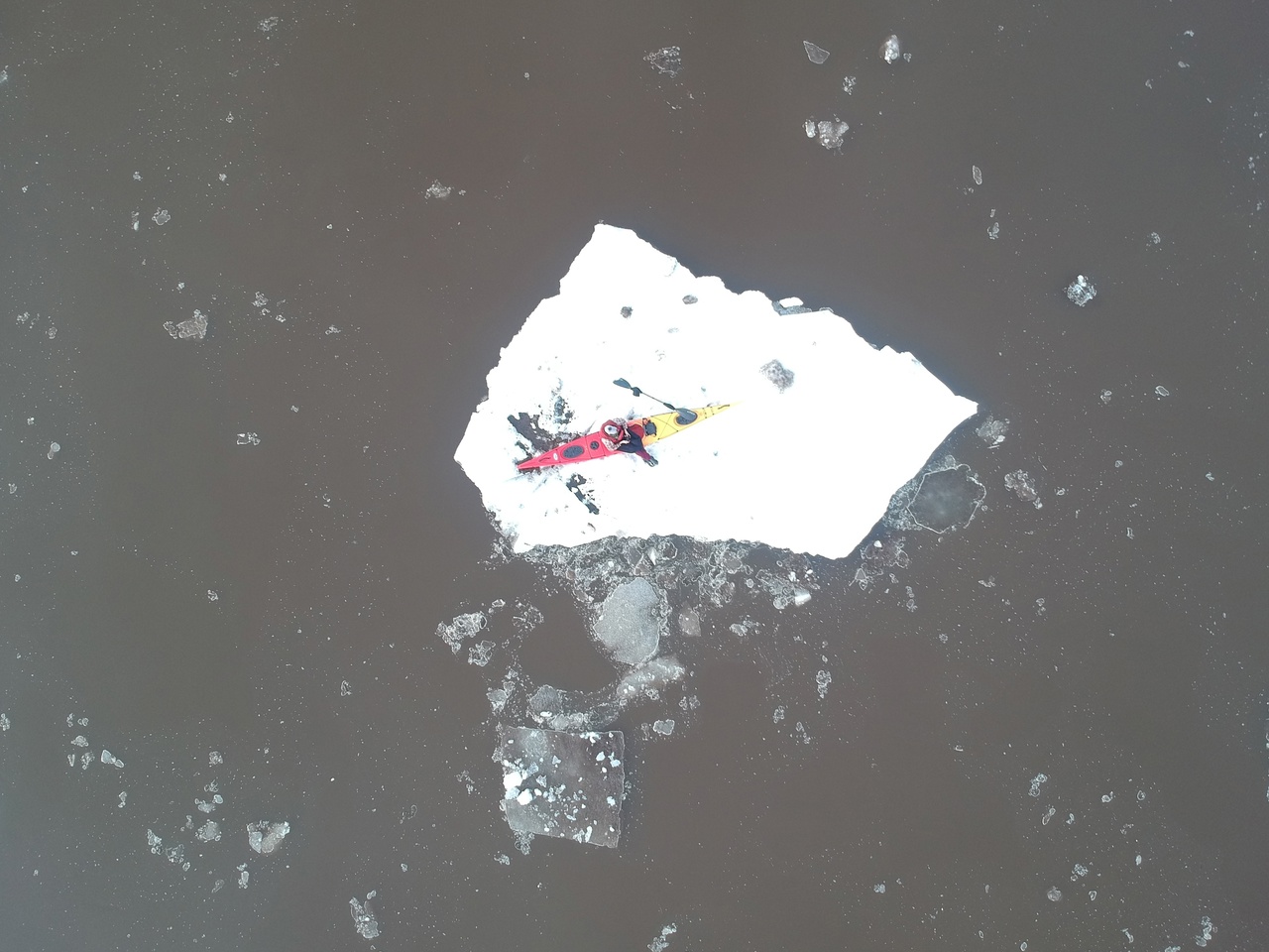 "Оседлал подходящую и поехал на ней": кировский мамонтенок прокатился по Вятке на льдине
