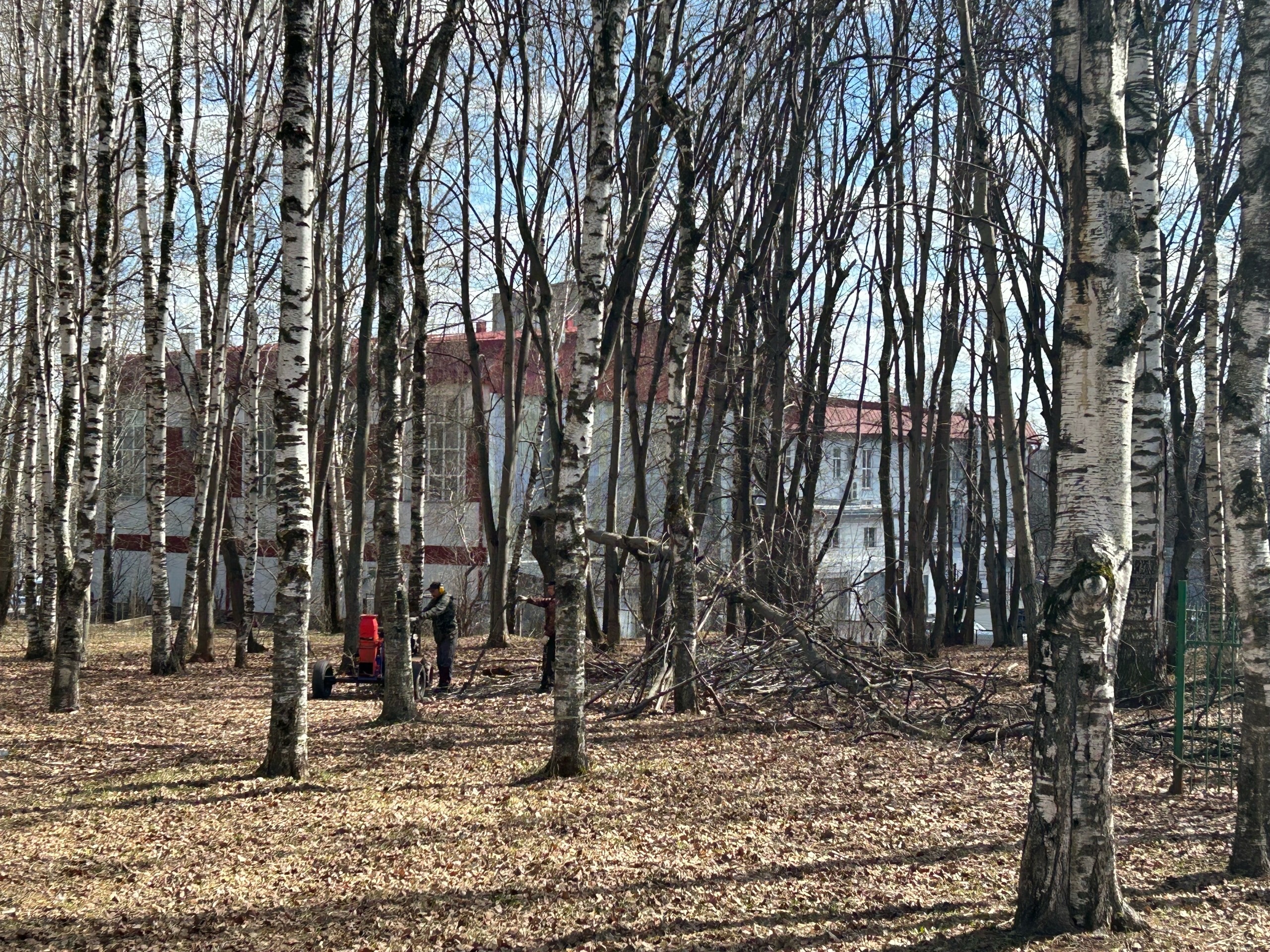 В парке имени Кирова срубили деревья: в центре города строят современную спортплощадку