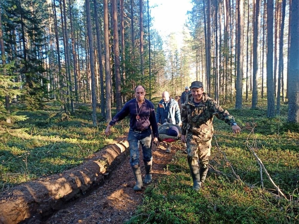 МЧС просит не ходить в лес: в Кировской области действует особый режим