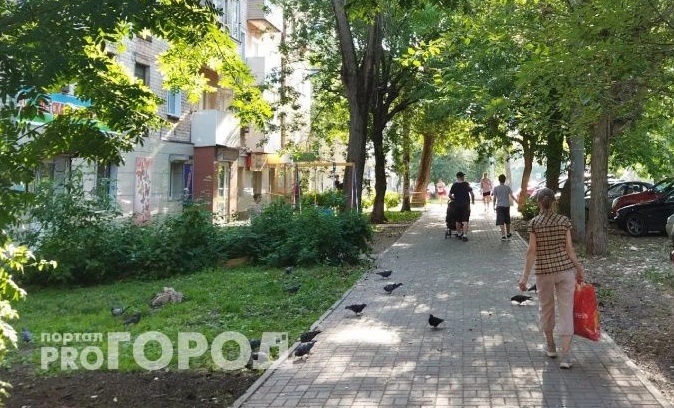 Последний день недели в Кирове будет теплым и дождливым