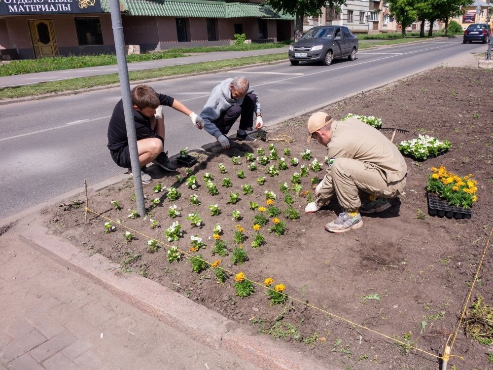 В преддверии Дня города Киров озеленили новыми кустарниками