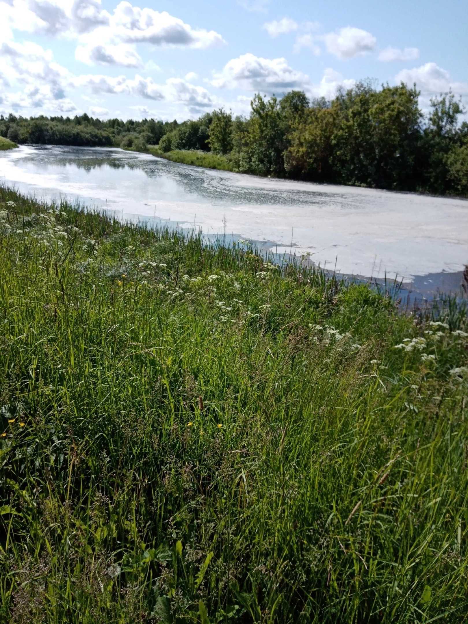 В Кировской области река покрылась масляной пленкой