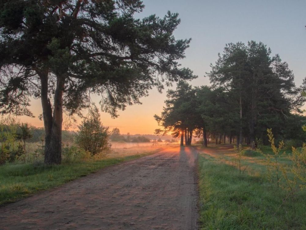 В Кирове появится новое место для отдыха на природе 