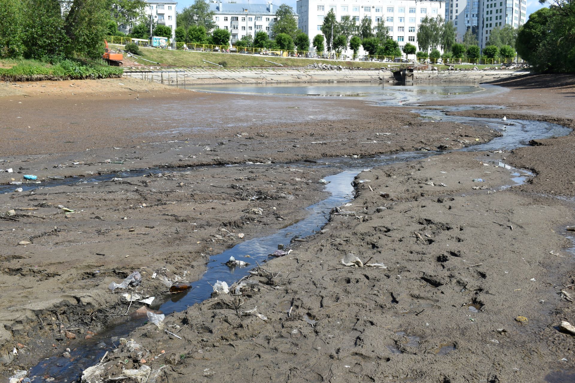 Опасные игры и ужасный запах: что происходит на месте иссушенного пруда в парке Кирова