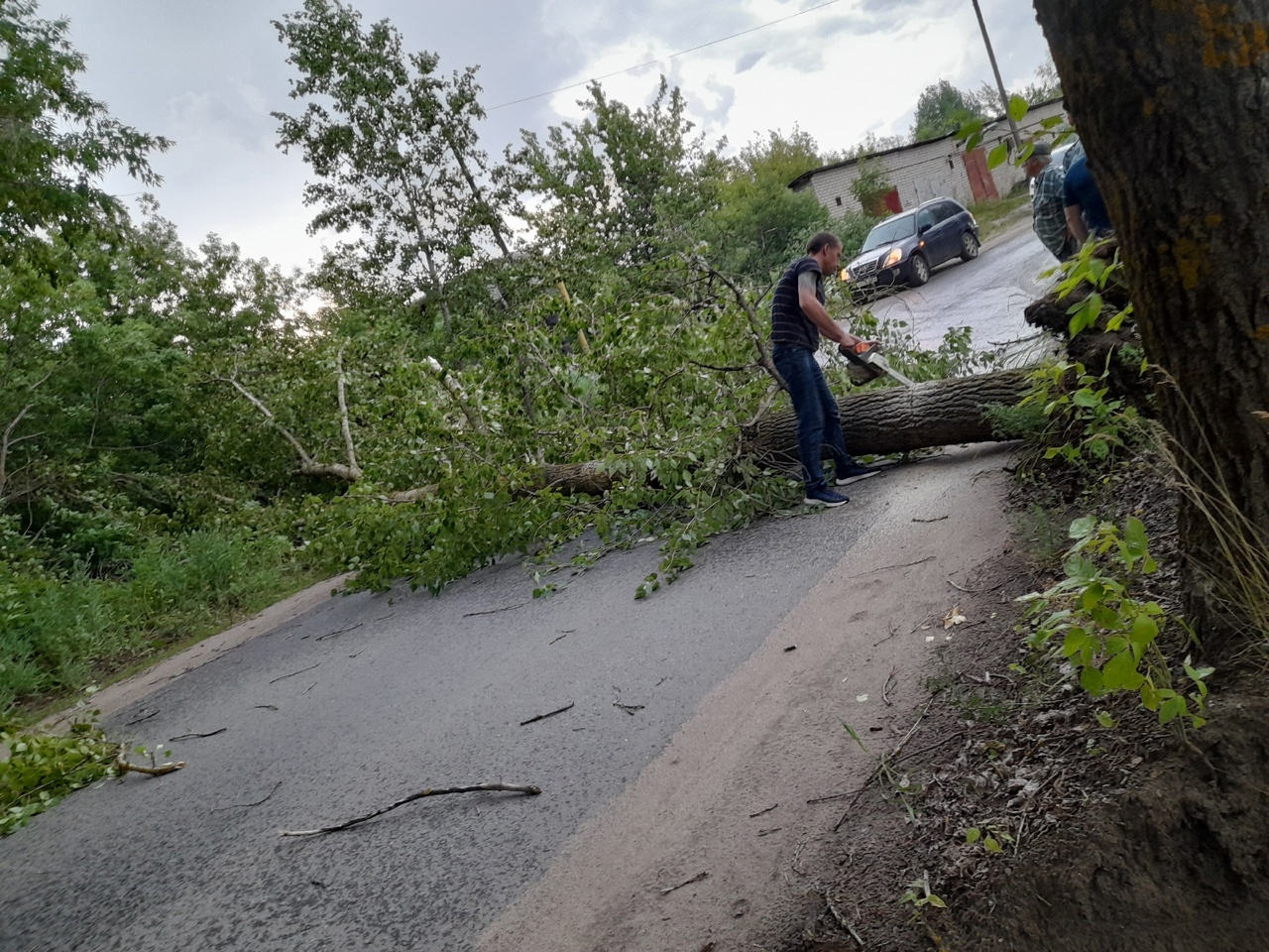 Последствия урагана в Кировской области: подборка фото