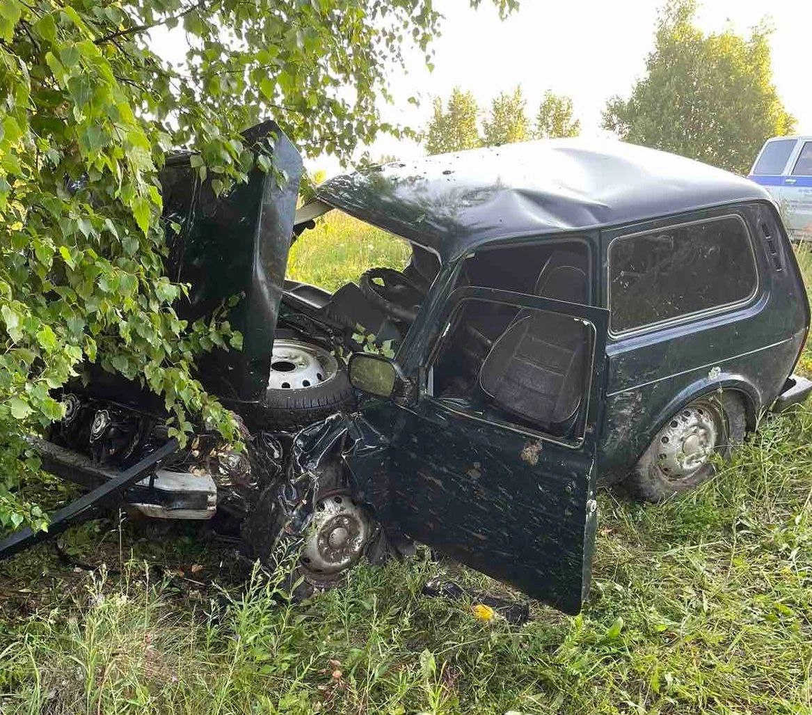 В Кировской области пьяный водитель на "Ниве" врезался в дерево: пострадал ребенок
