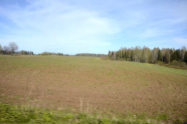 В Кировской области расчистили 2,6 тысячи гектаров неиспользуемой пашни