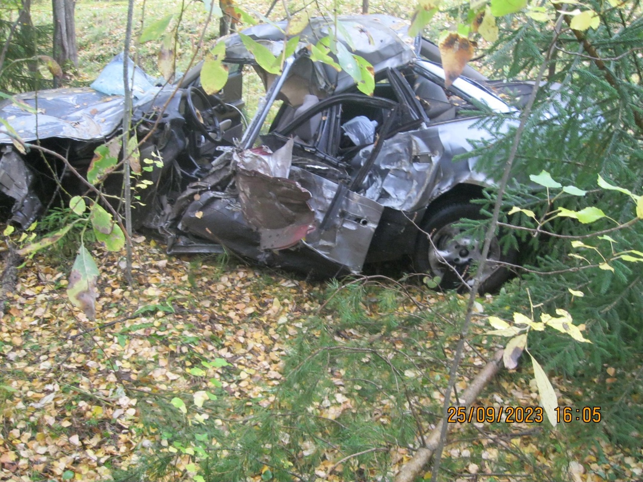 В Кировской области в кювете погиб водитель Audi