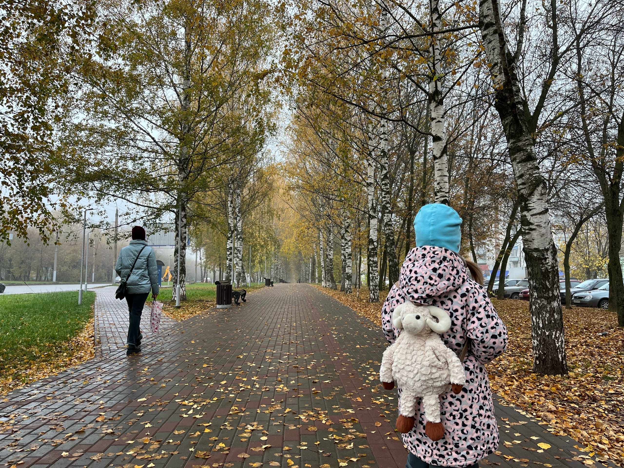 В последний день уходящей недели в Кирове ожидается снег с дождем: прогноз погоды на 8 октября