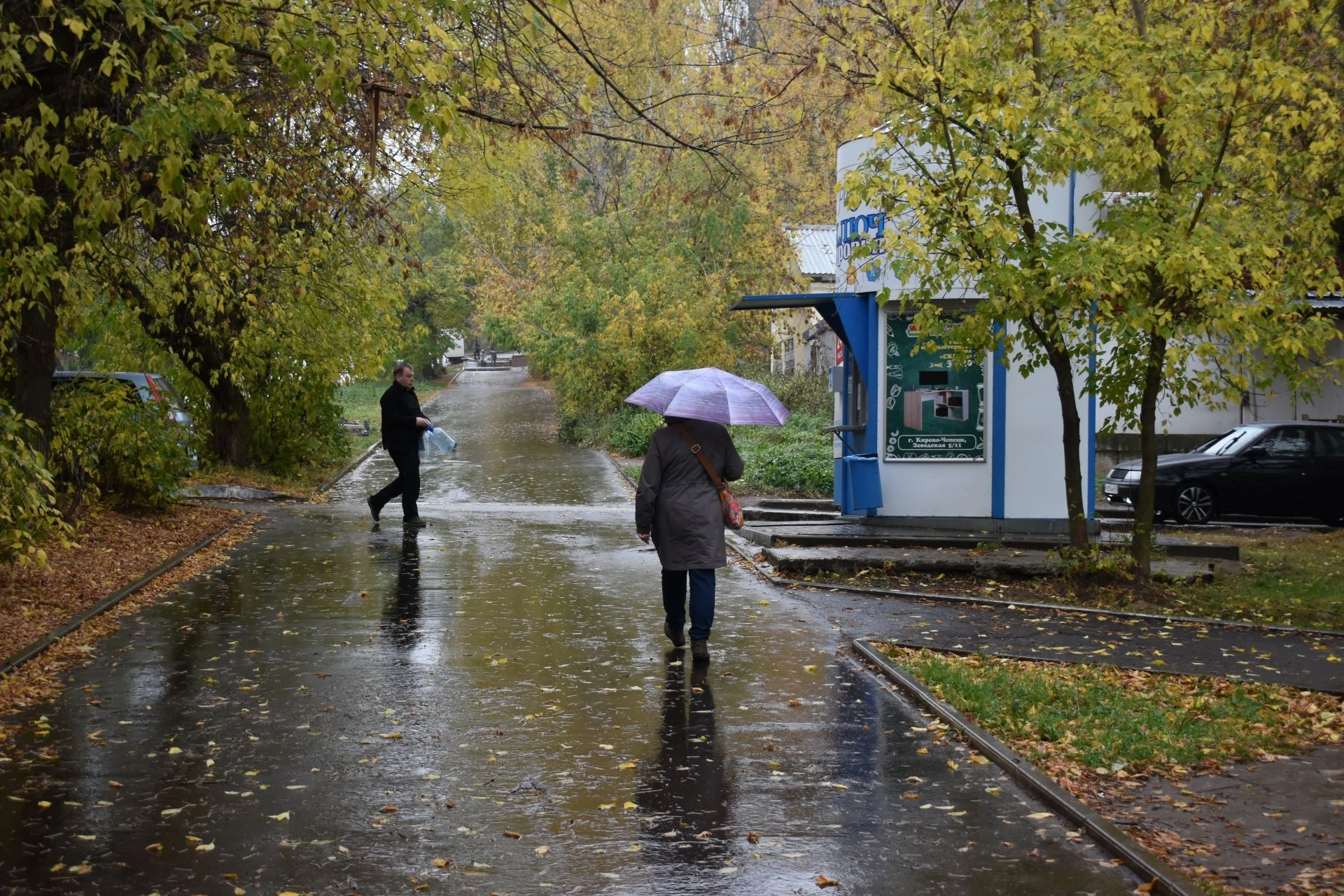 Будет дождливо и пасмурно: известен прогноз погоды на 15 октября в Кирове
