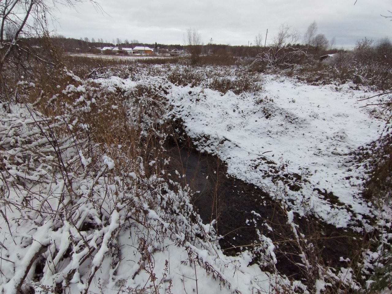 В Кировской области обнаружили загрязненную реку: специалисты взяли пробы воды