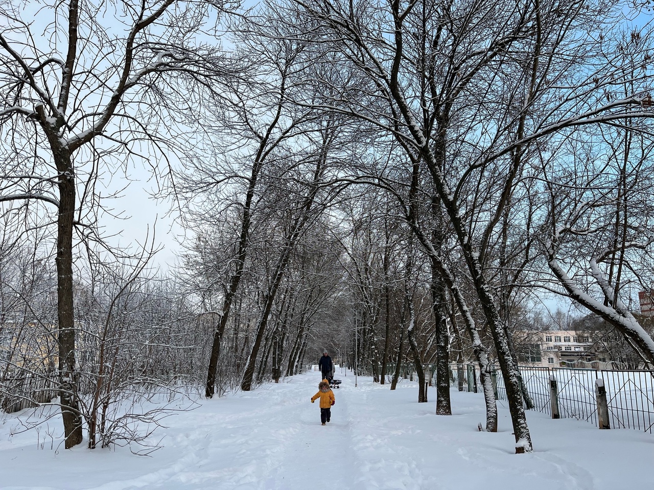 Арктический антициклон обрушится на Россию: синоптики предупреждают о запредельных морозах в декабре
