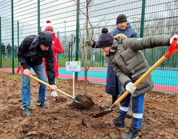 В 2023 году жители Кировской области высадили 17 тысяч деревьев