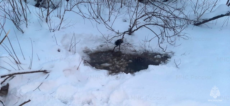 В Кировской области водолазы выловили из Вятки тело мужчины