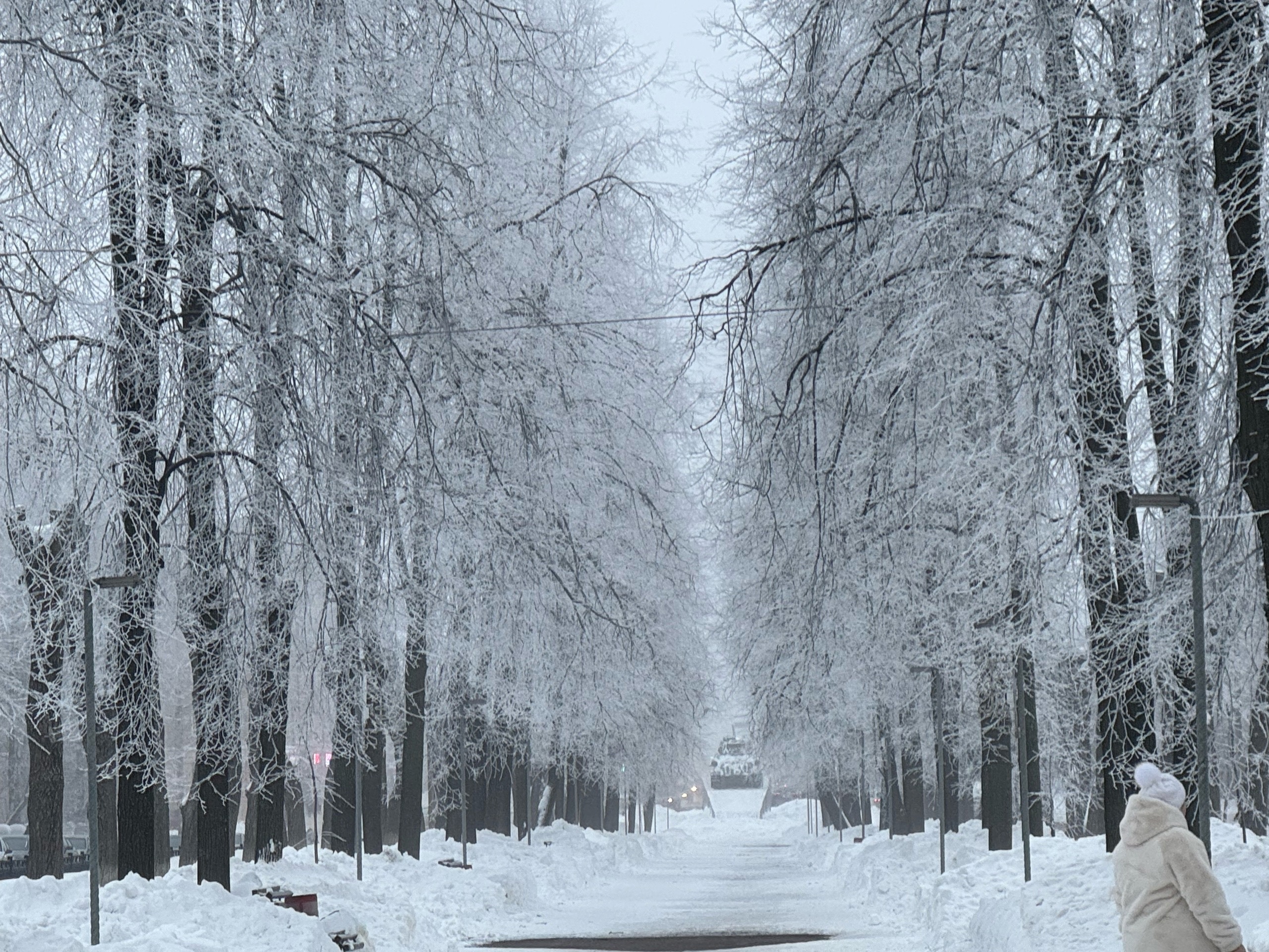 В Кировскую область вернутся 30-градусные морозы