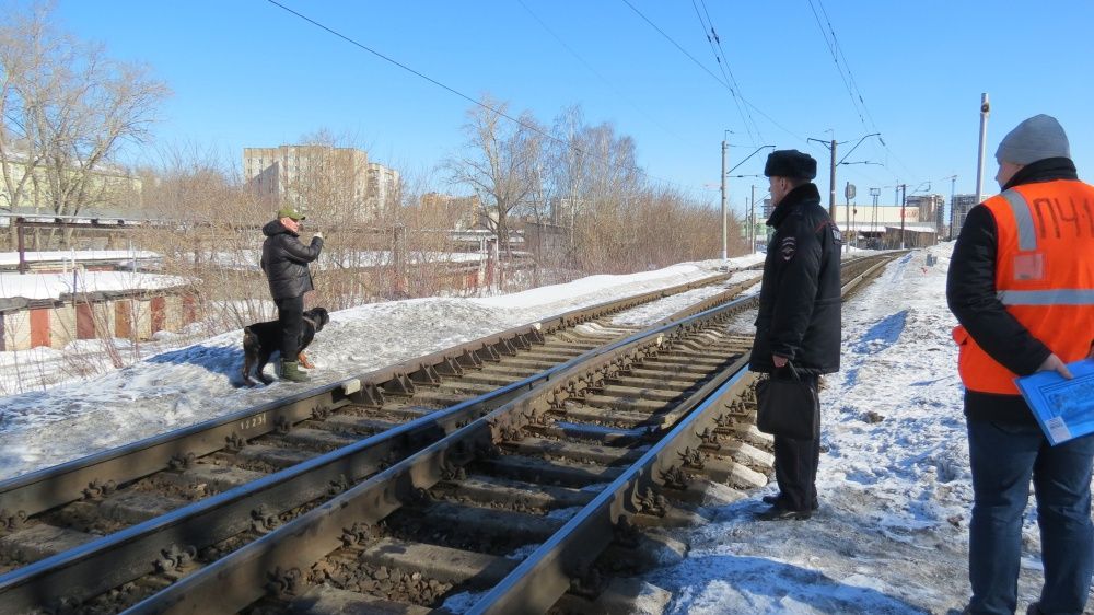 В 2024 году на железнодорожных путях Кировской области пострадали уже 16 человек