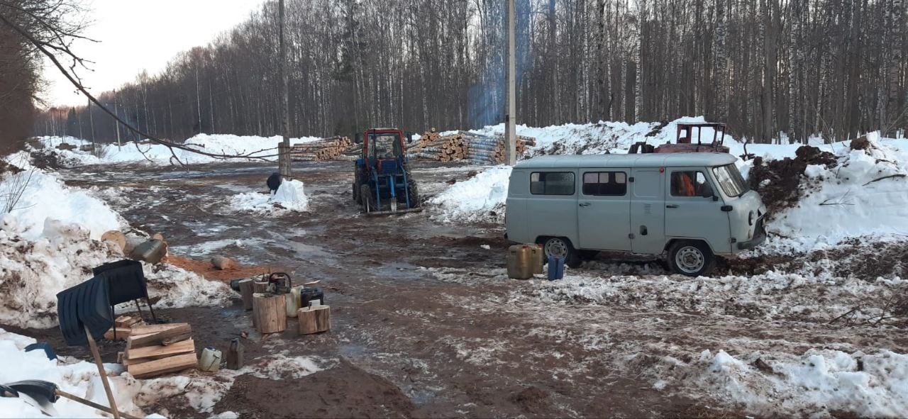 В Кировской области предприниматель незаконно вырубил лес на 2,7 миллиона рублей