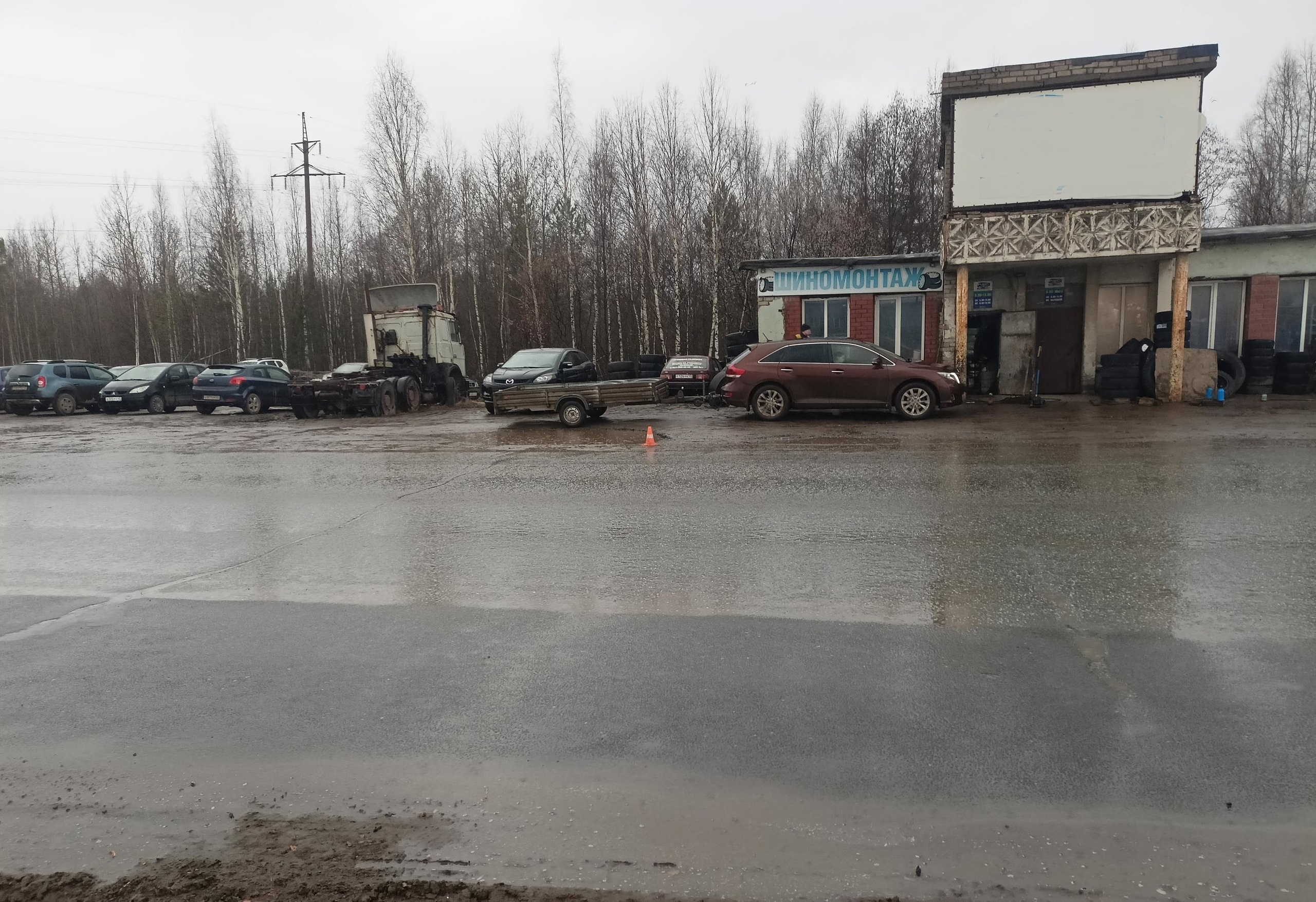 Кировская полиция разыскивает водителя, сбившего пешехода в Коминтерне