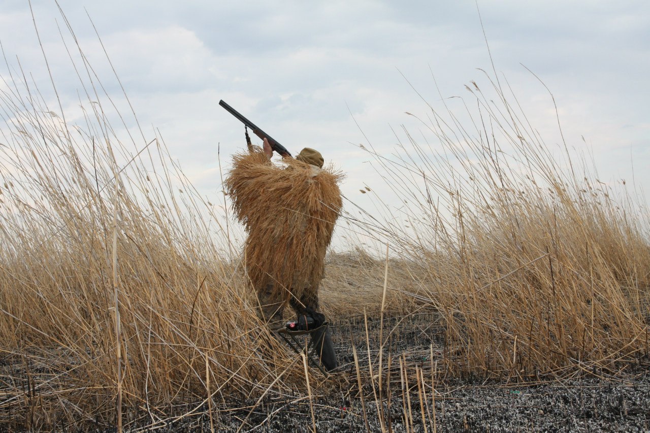 С 15 апреля в Кировской области открывается сезон охоты на пернатую дичь