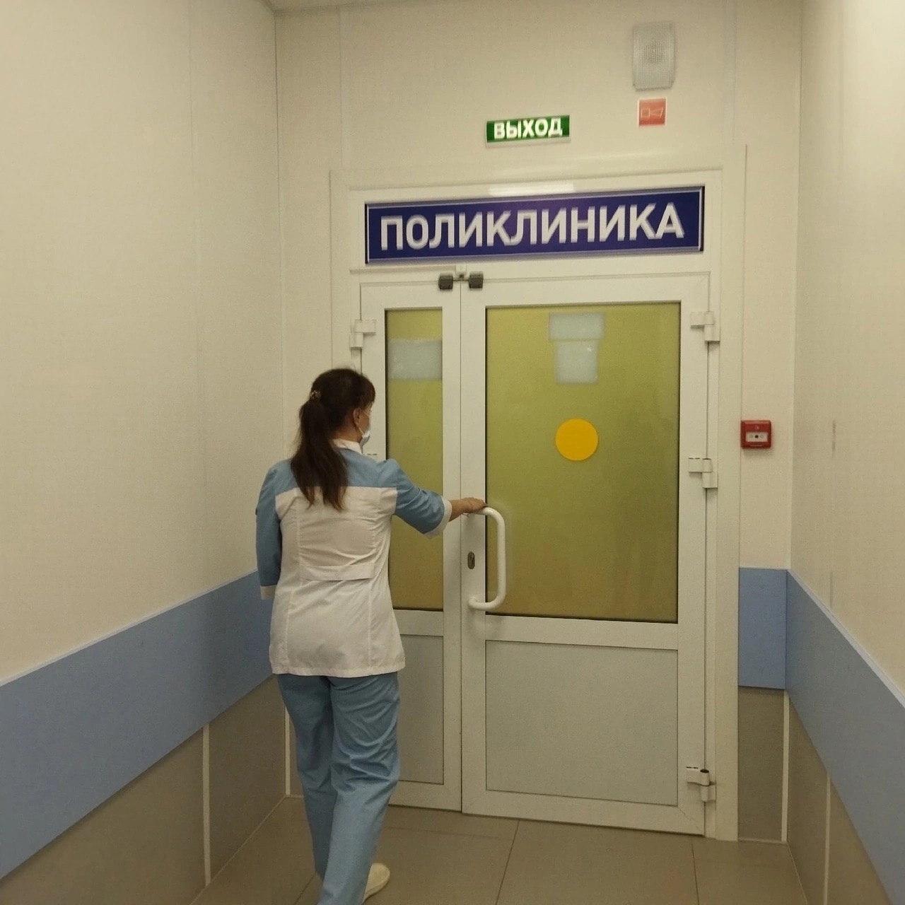 Четыре жителя Кировской области пострадали от укусов клещей в середине апреля