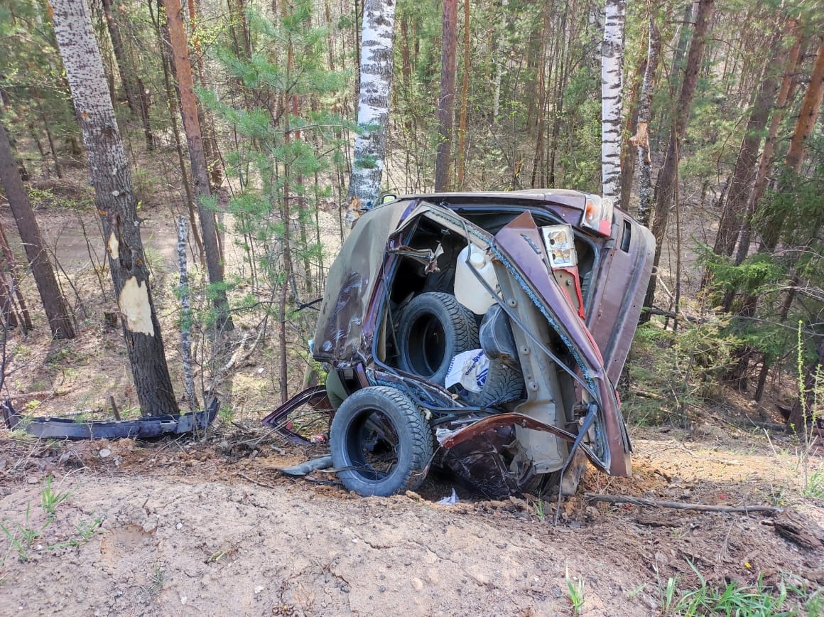 В Вятскополянском районе водитель "двенашки" погиб, влетев на скорости в дерево
