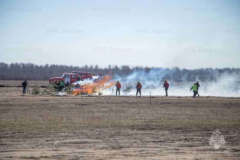 С 25 апреля в Кировской области действует особый противопожарный режим