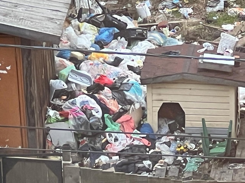 “Крысы бегут размером с кошку”: дом в центре Кирова завален мусором