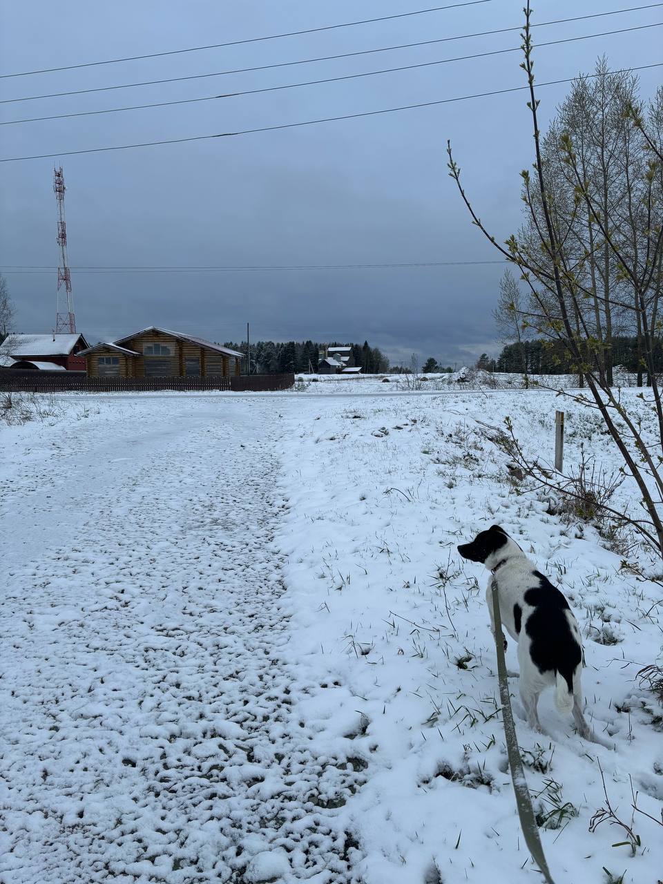 Киров укутается в сугробы: на область надвигается снежный шторм