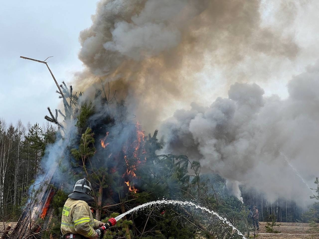 Лес снова горит: пожар произошел 7 мая в Кировской области