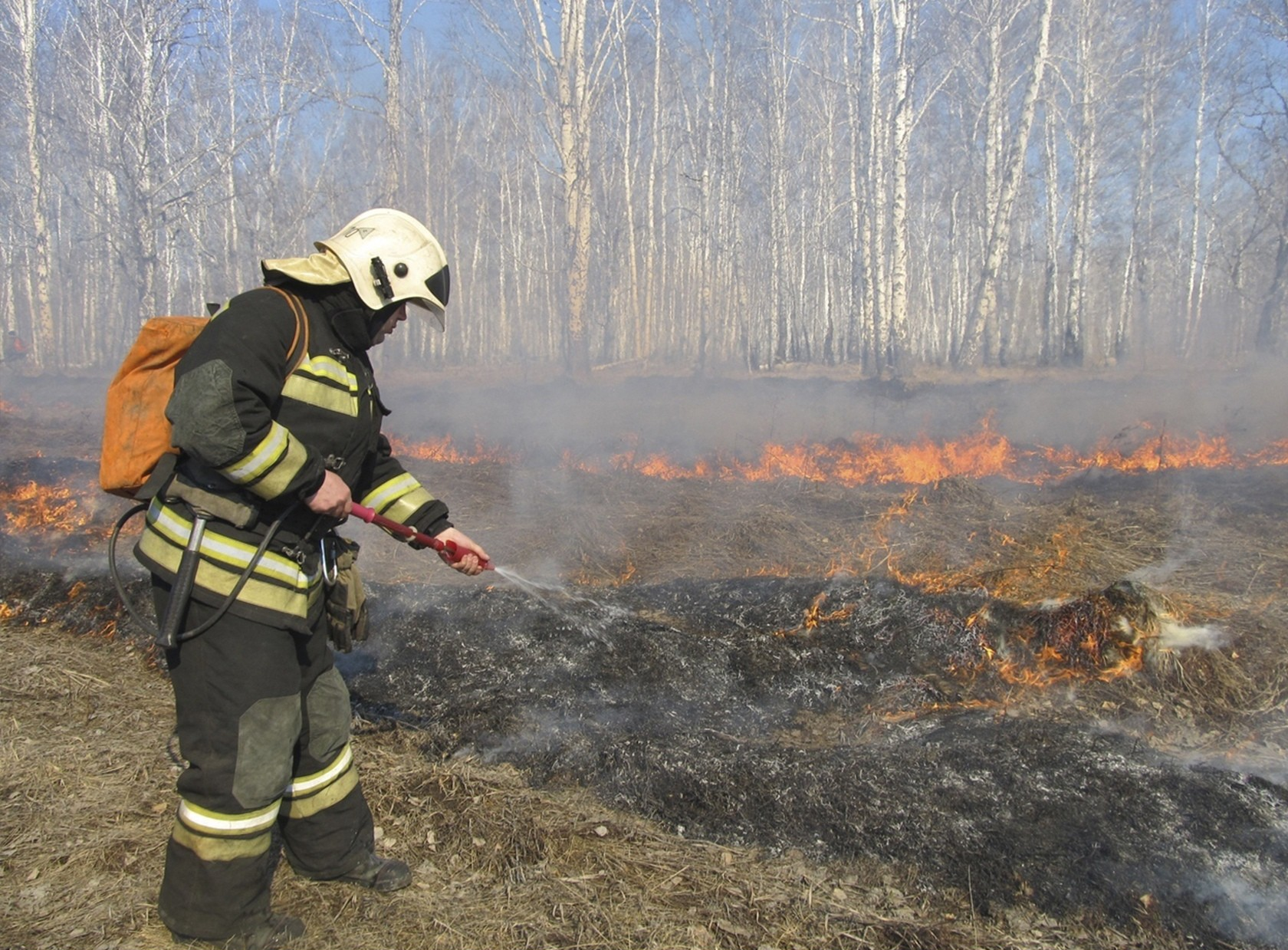 Власти оценили готовность Кировской области к сезону лесных пожаров